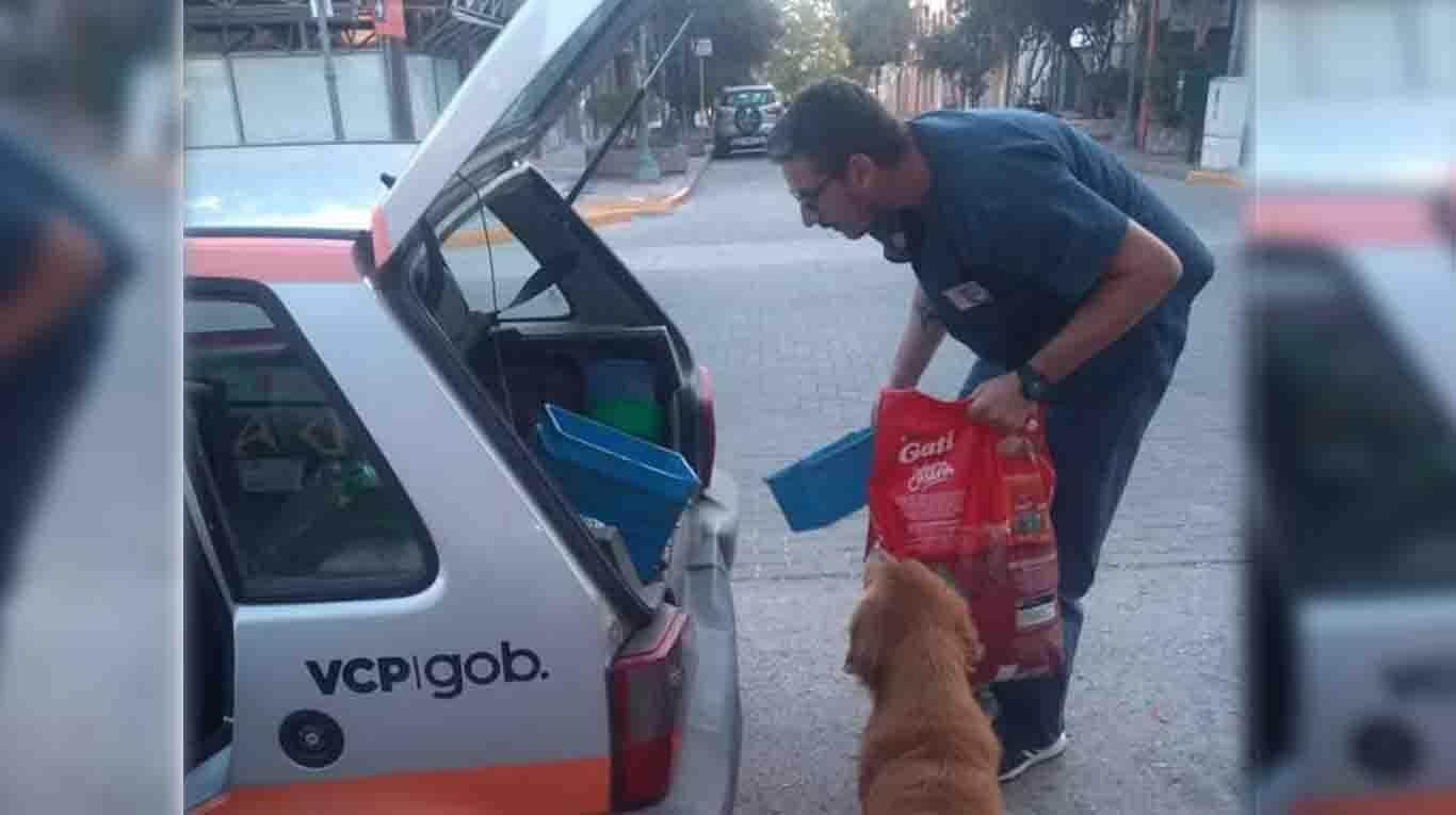 The municipality of Villa Carlos Paz distributes food to street dogs. (Photo: Carlos Paz Alive: